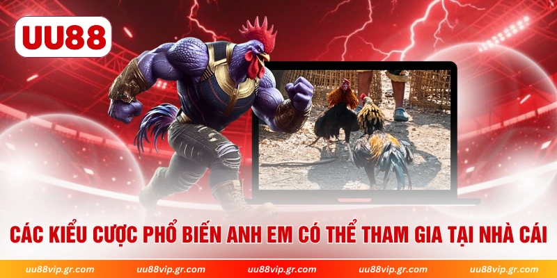 Các kiểu cược phổ biến anh em có thể tham gia tại nhà cái