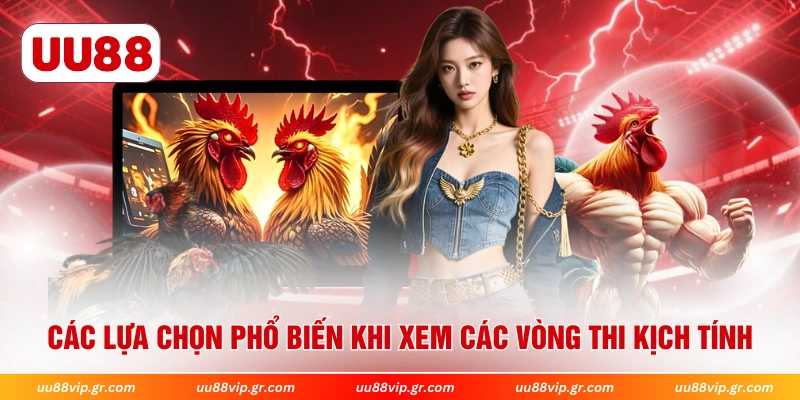 Các lựa chọn phổ biến khi xem các vòng thi kịch tính