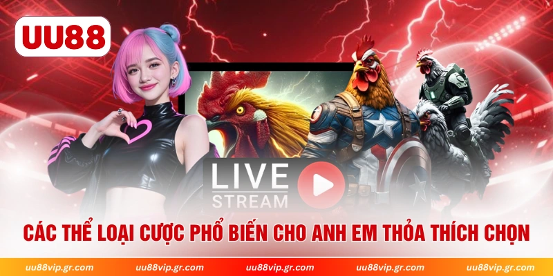 Các thể loại cược phổ biến cho anh em thỏa thích chọn 