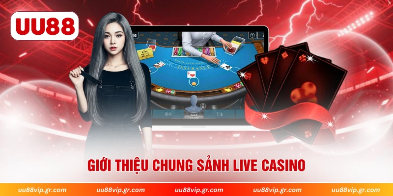 Giới thiệu chung sảnh Live Casino