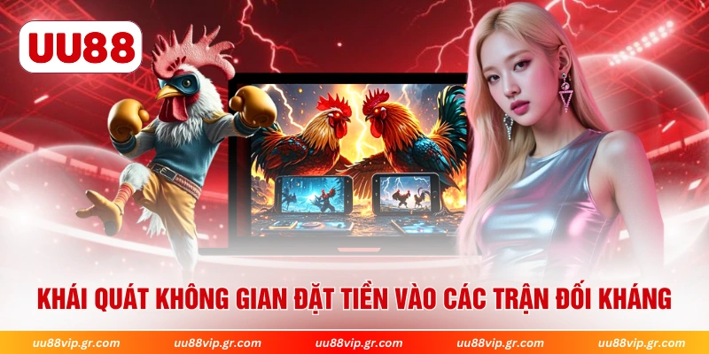 Khái quát không gian đặt tiền vào các trận đối kháng 