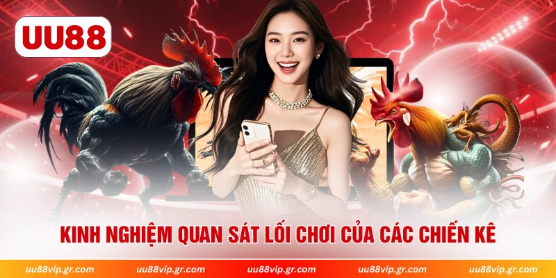 Kinh nghiệm quan sát lối chơi của các chiến kê