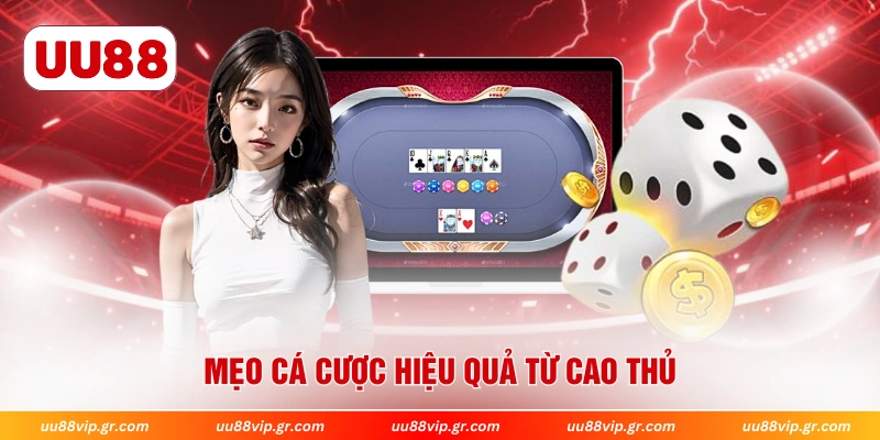 Mẹo cá cược hiệu quả từ cao thủ