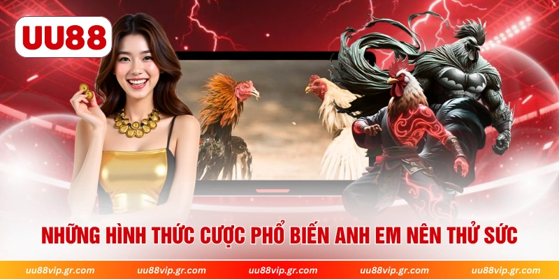 Những hình thức cược phổ biến anh em nên thử sức