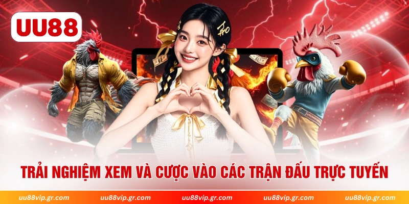 Trải nghiệm xem và cược vào các trận đấu trực tuyến